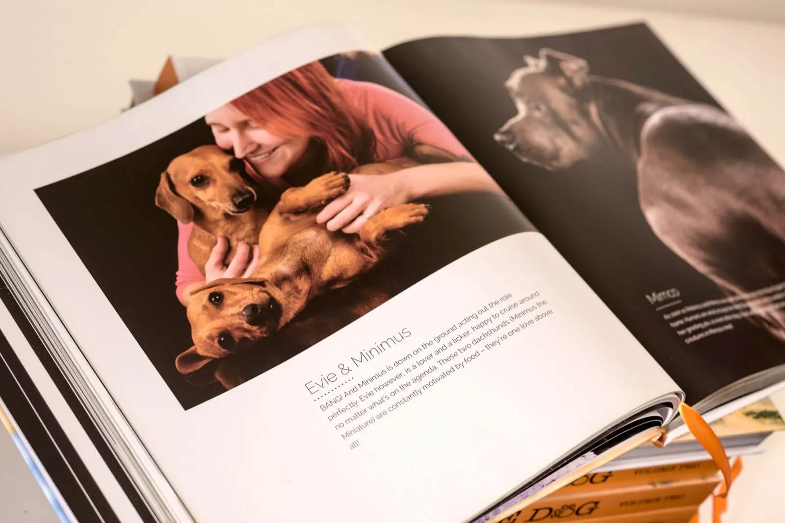 Shoot the Dog, Volume Two open at Evie and Minimus: a laughing woman holding two dachshunds, one of them belly up