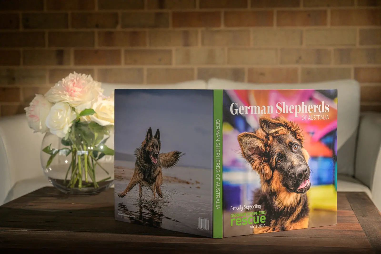 German Shepherds of Australia, Volume One, standing open to show a puppy with one ear up on the front and a shepherd running through shallow water on the back