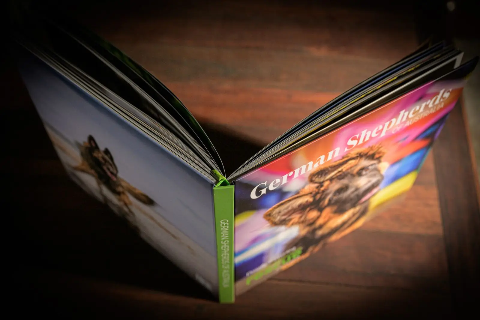 German Shepherds of Australia, Volume One, standing open on a dark timber table, seen from above, with a shepherd running on the back cover and a puppy on the front