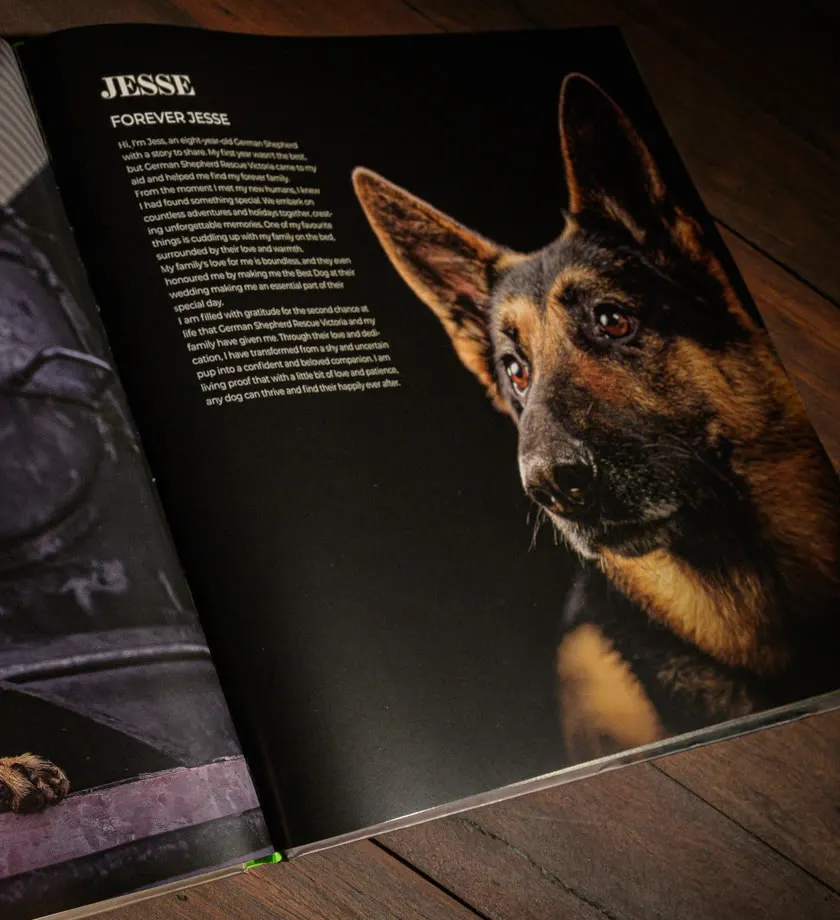 German Shepherds of Australia open at Jesse, Forever Jesse, a German Shepherd looking out of a black page