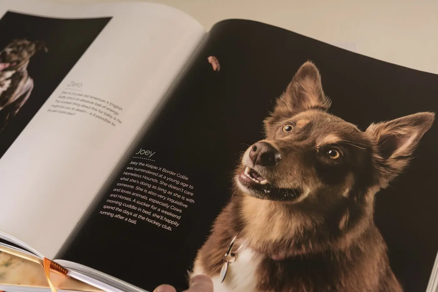 Shoot the Dog, Volume Two open at Joey, a red Kelpie cross Border Collie looking up at a treat in mid-air, beside Zero
