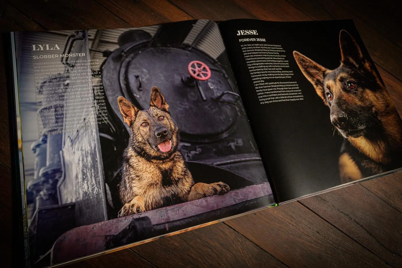 German Shepherds of Australia open at page 63: Lyla, paws up on an old steam locomotive, beside Jesse's page