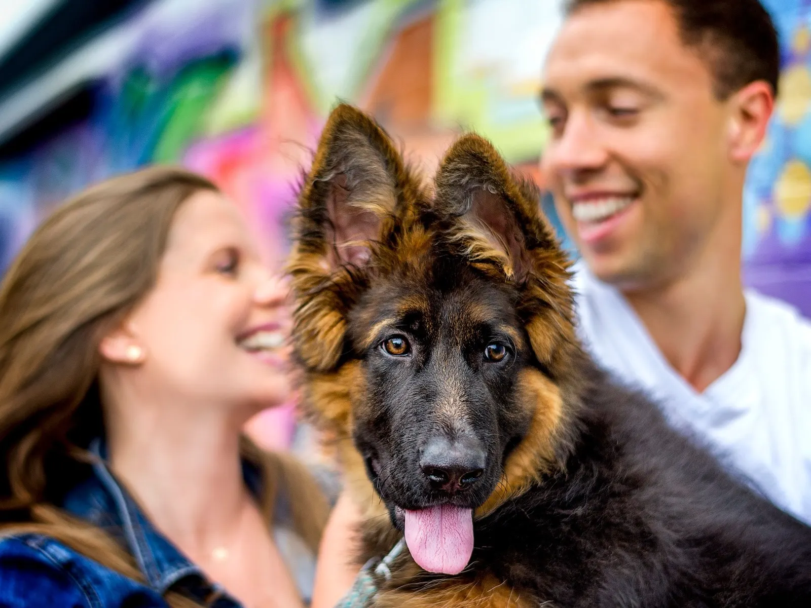 Putney, a long-haired German Shepherd, with his two smiling people in front of a graffiti wall