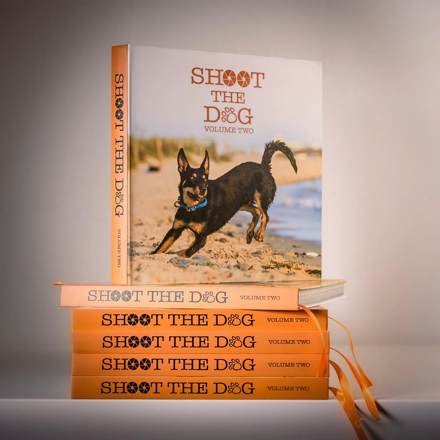 The cover of Shoot the Dog, Volume Two