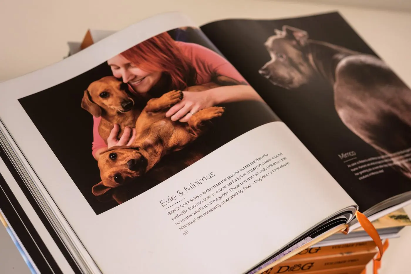 Pages inside Shoot the Dog, Volume Two