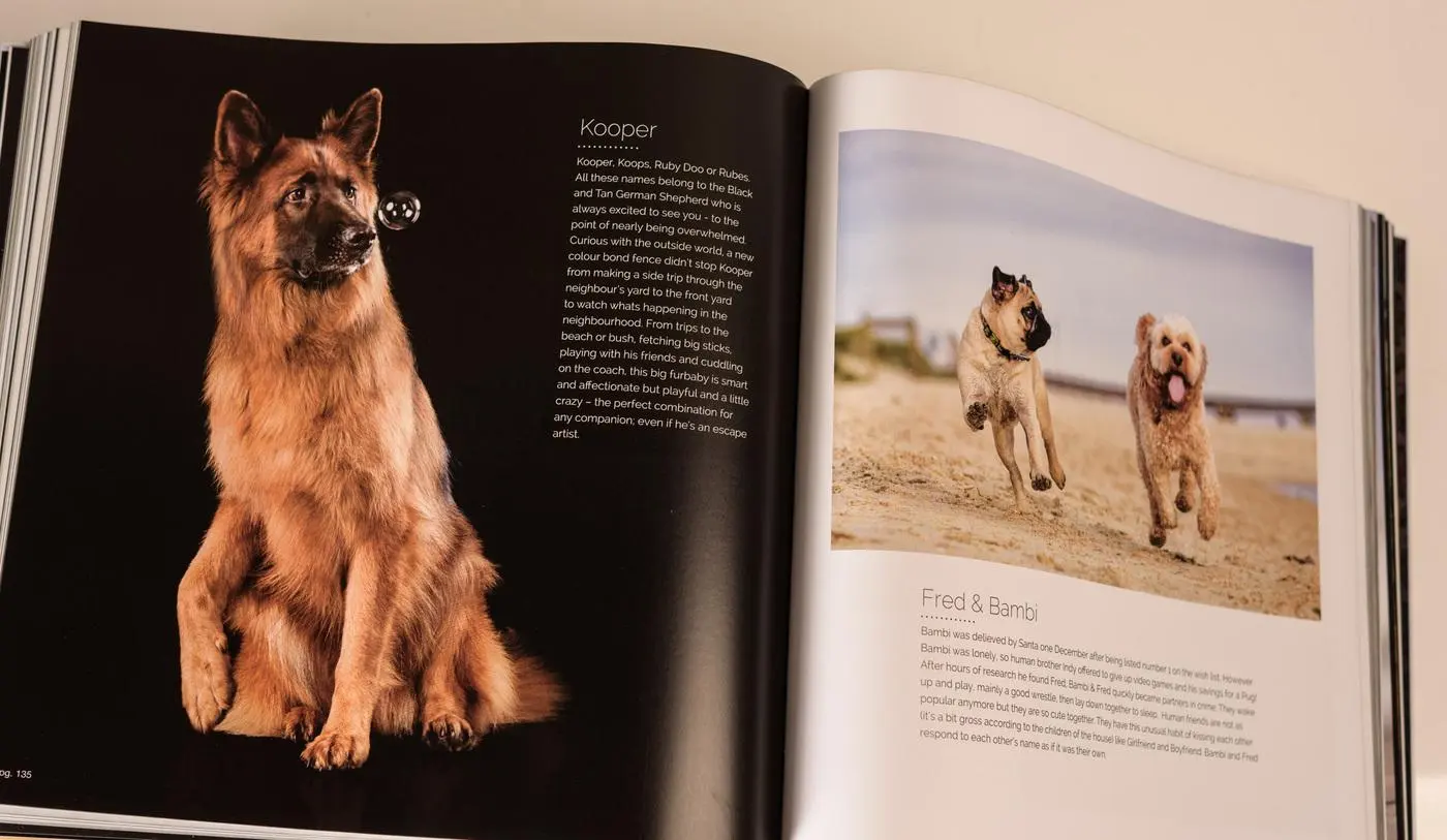 An open spread of Shoot the Dog, Volume Two: Kooper, and Fred and Bambi
