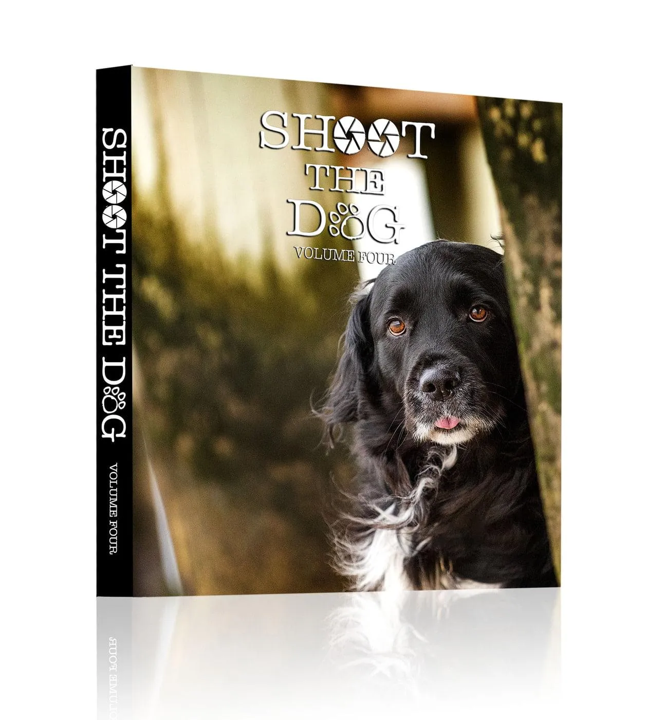 The cover of Shoot the Dog, Volume Four: a black long-coated dog peering out from behind a tree trunk