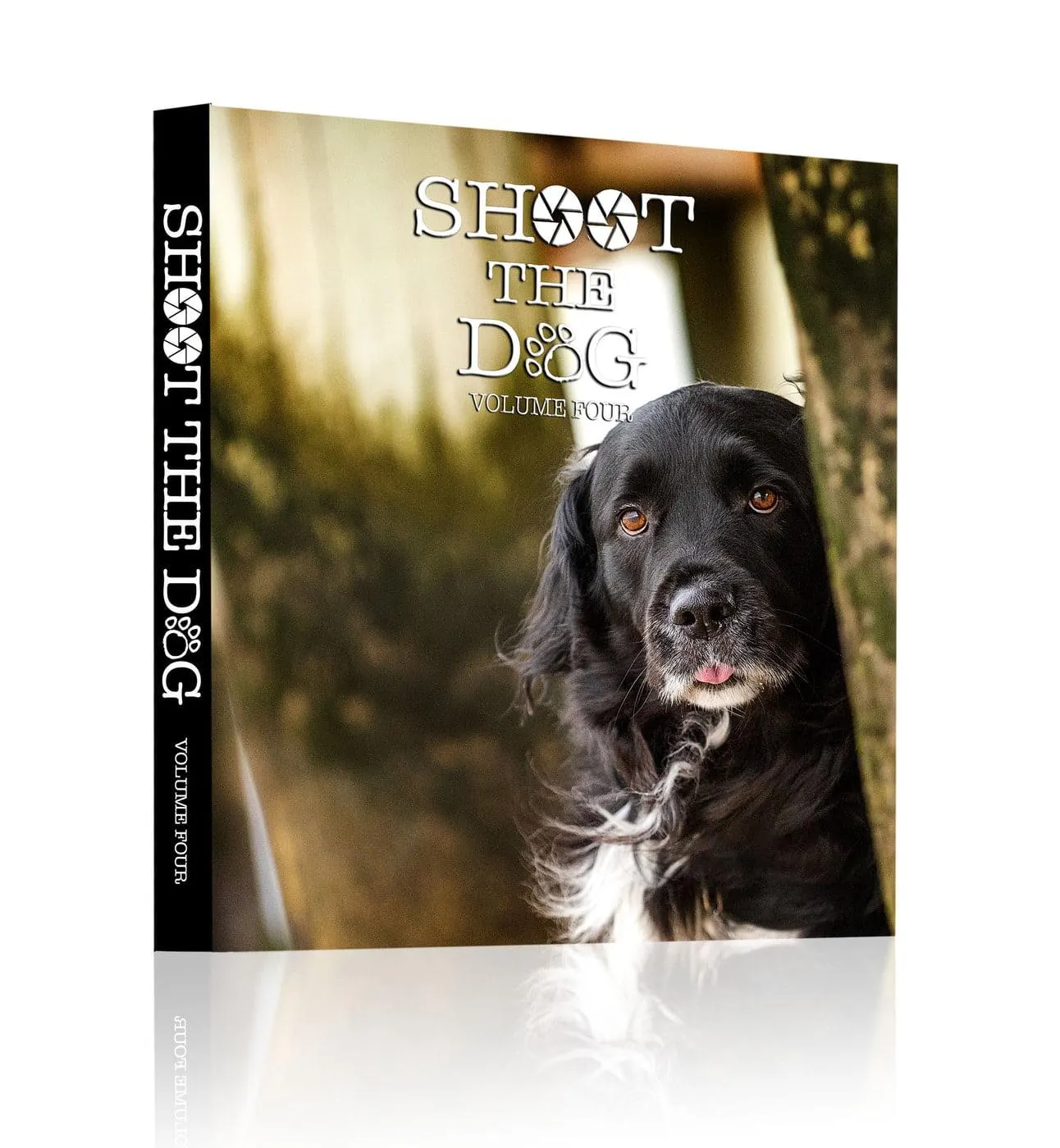 The cover of Shoot the Dog, Volume Four: a black long-coated dog peering out from behind a tree trunk